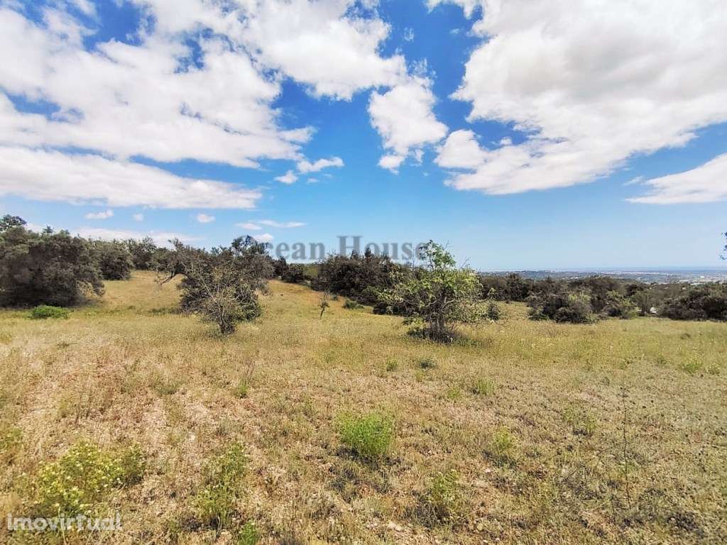 Vende-se vários terrenos rústicos com vista mar - Loulé - Grande imagem: 2/5