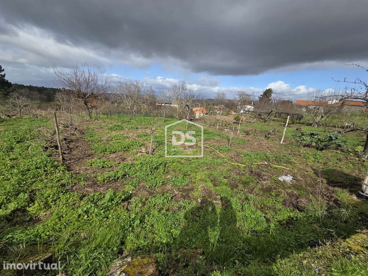 Terreno  Venda em Armamar,Armamar - Grande imagem: 5/7