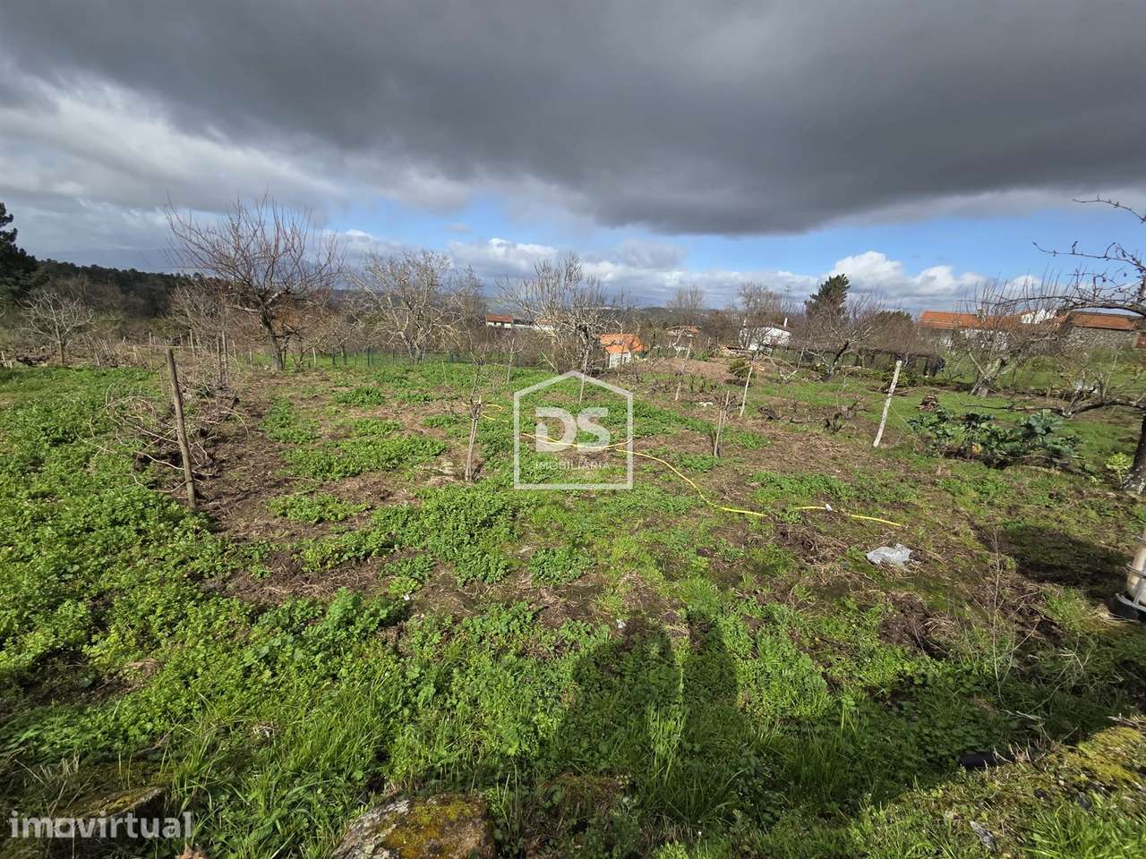Terreno  Venda em Armamar,Armamar - Grande imagem: 5/7