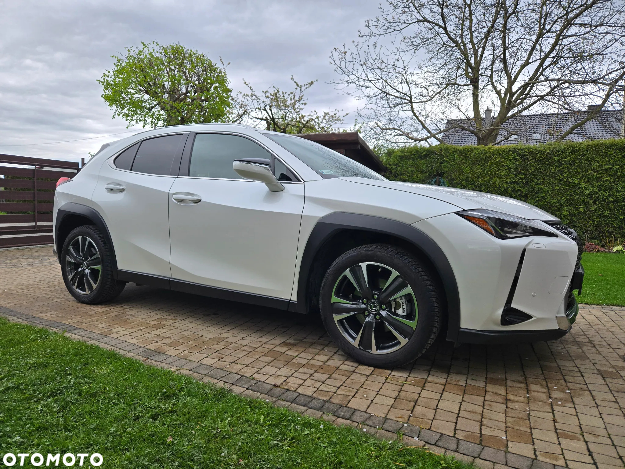 Lexus UX 200 Optimum 2WD - 8