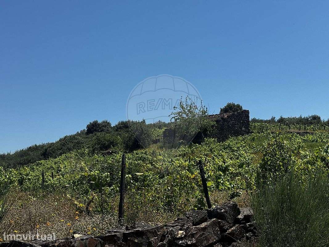 Terreno  para venda - Grande imagem: 2/3
