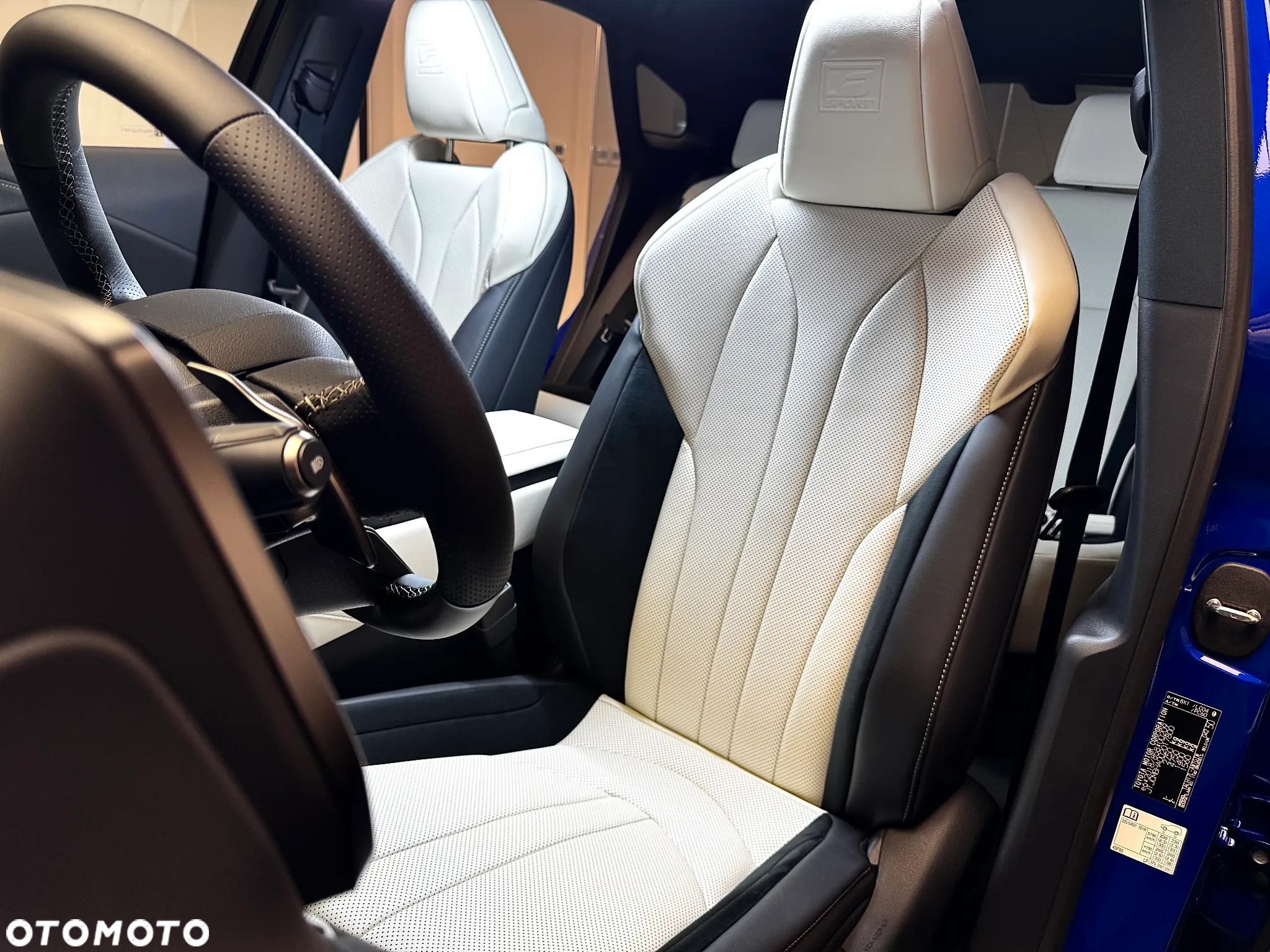 Lexus RX 500h F Sport - 16