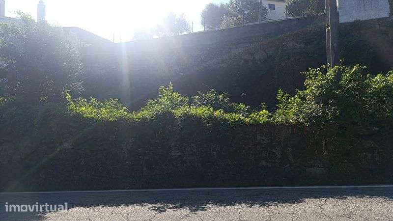 Casa em pedra as portas de oliveira de frades - Grande imagem: 3/3