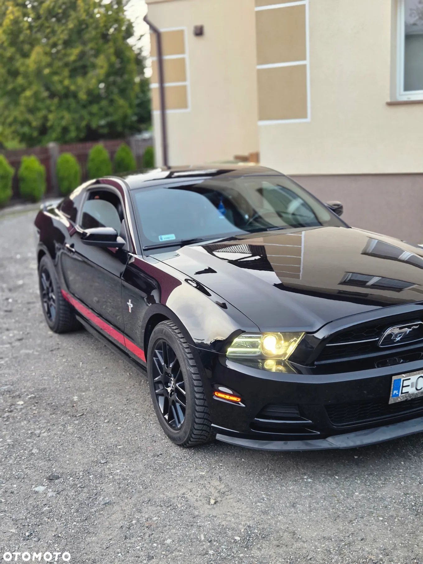 Ford Mustang 3.7 V6 - 5