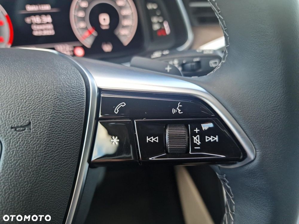 Audi A6 Allroad - 19