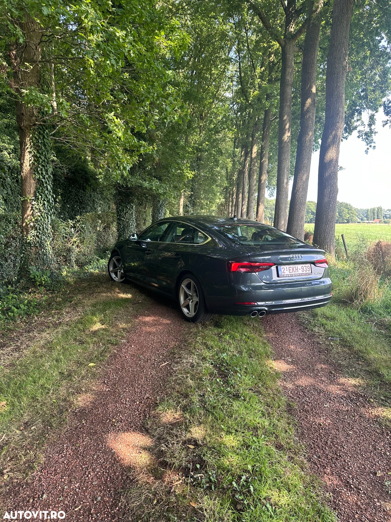 Audi A5 Sportback 2.0 TDI S tronic Design - 5
