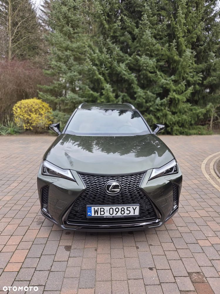 Lexus UX 200 GPF F Sport Edition 2WD - 4