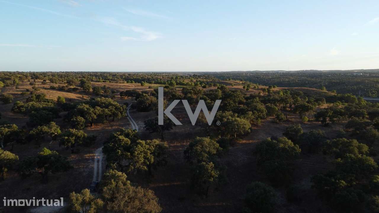 Refúgio Ideal no Alentejo: Investimento único com Potencial Agrícola e - Grande imagem: 5/23