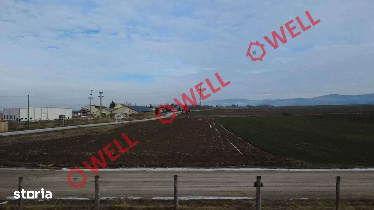 Teren intravilan de vânzare în Tușnad! - Imagine principală: 3/8