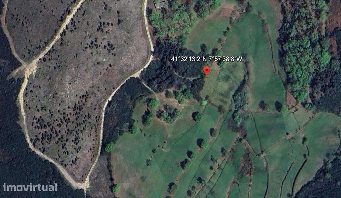 Terreno Rústico com 4.500 m2 em Rio Douro, Cabeceiras de Basto – Oport - Grande imagem: 2/10