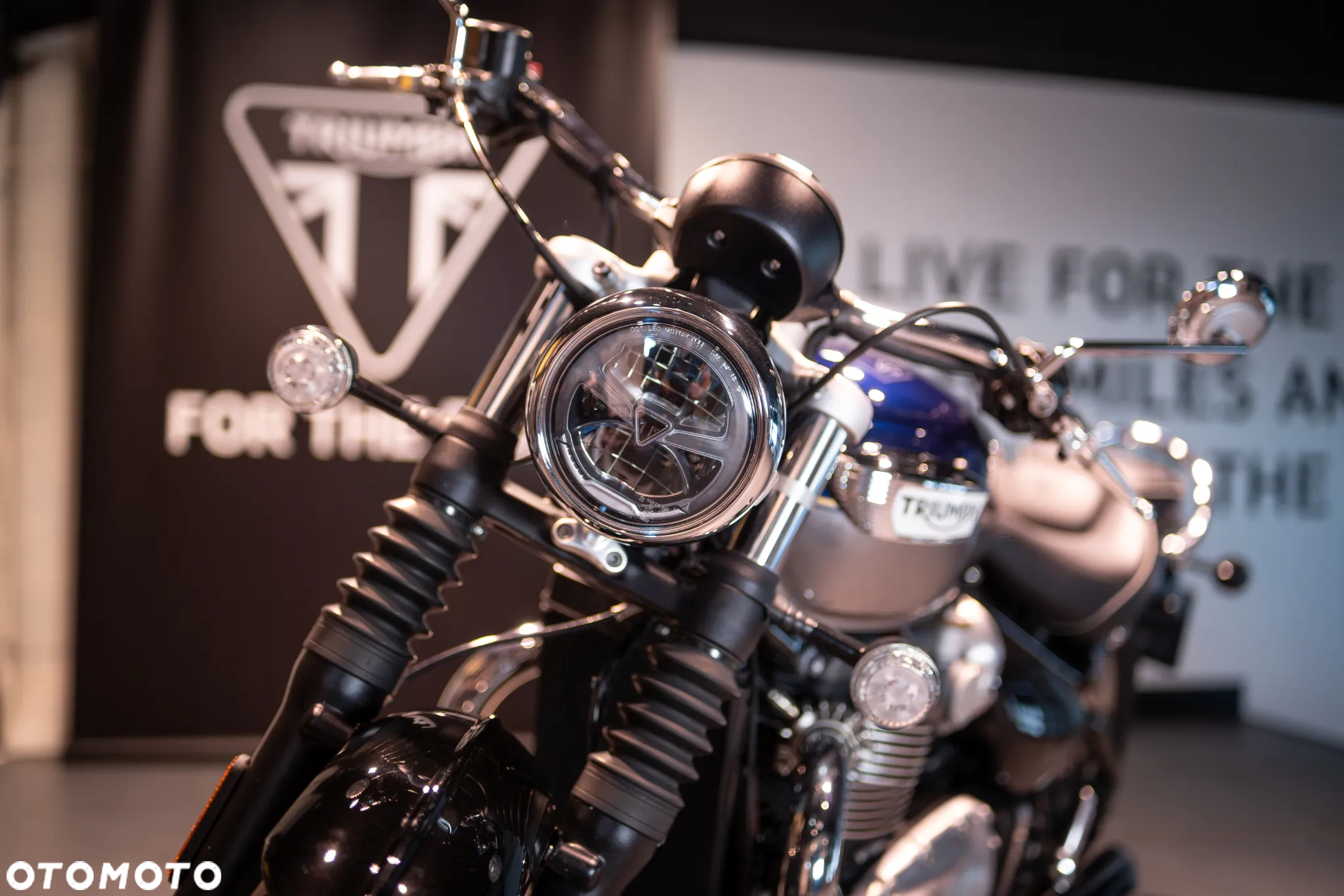 Triumph Speedmaster - 25
