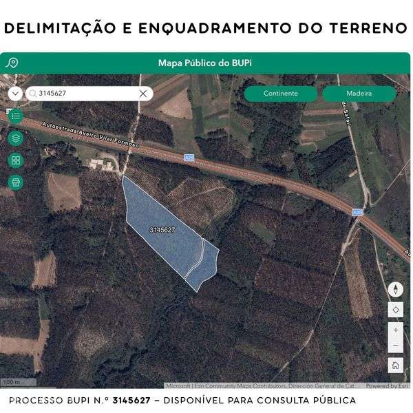 Terreno Rústico 3 hectares | Albergaria-a-Velha - Grande imagem: 2/12