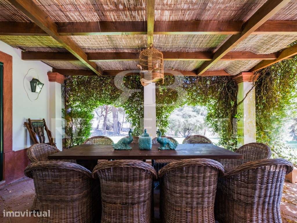 T5 Casa Tradicional Portuguesa - Jardim, Piscina, Pinhal e Sobreiro... - Grande imagem: 3/60