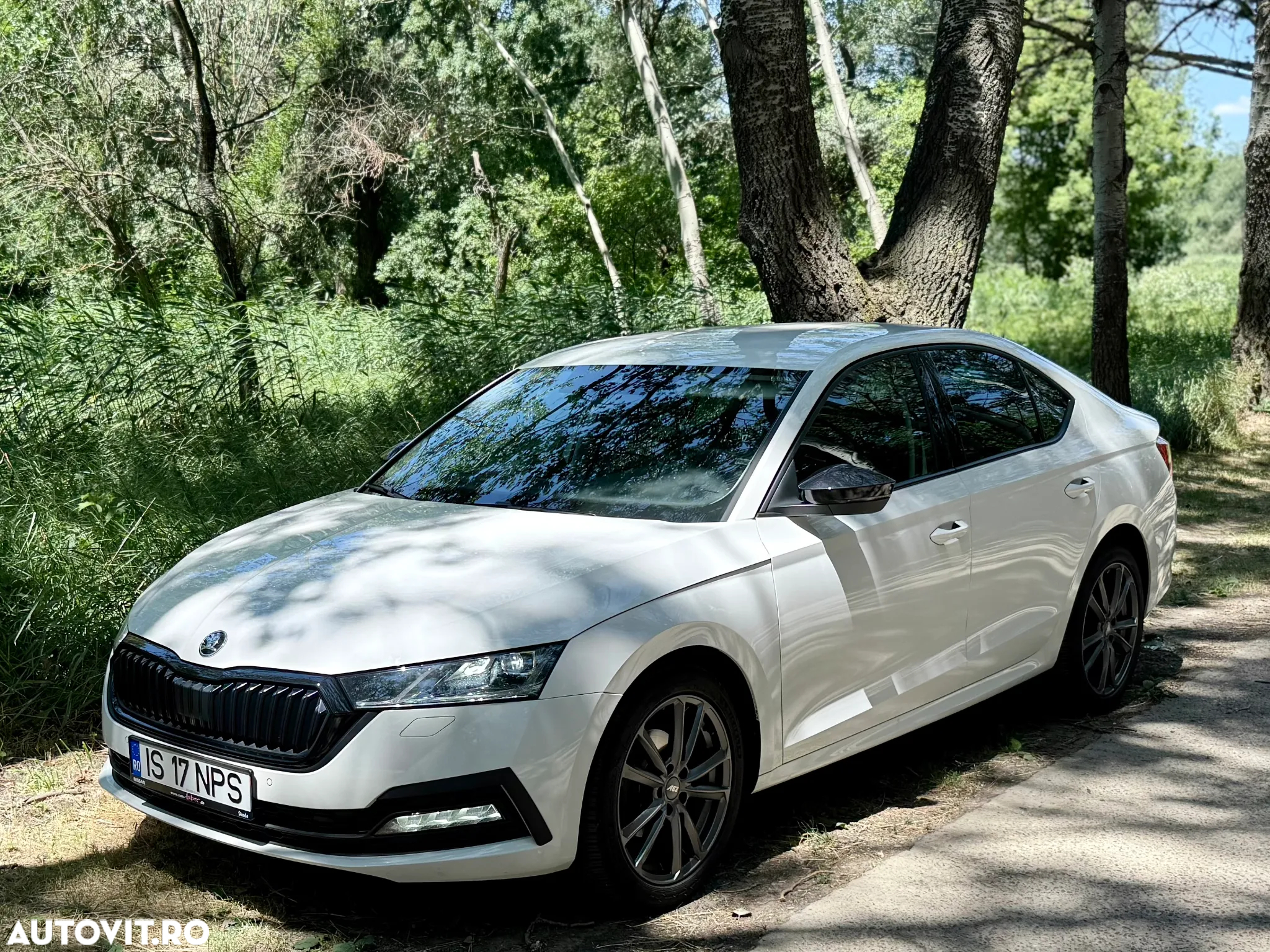 Skoda Octavia 2.0 TDI 150 CP DSG Selection - 12