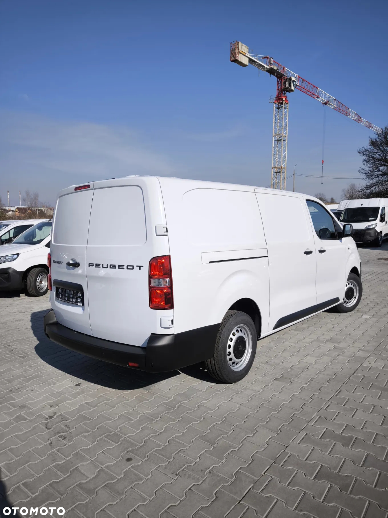 Peugeot Expert Furgon Long - 6