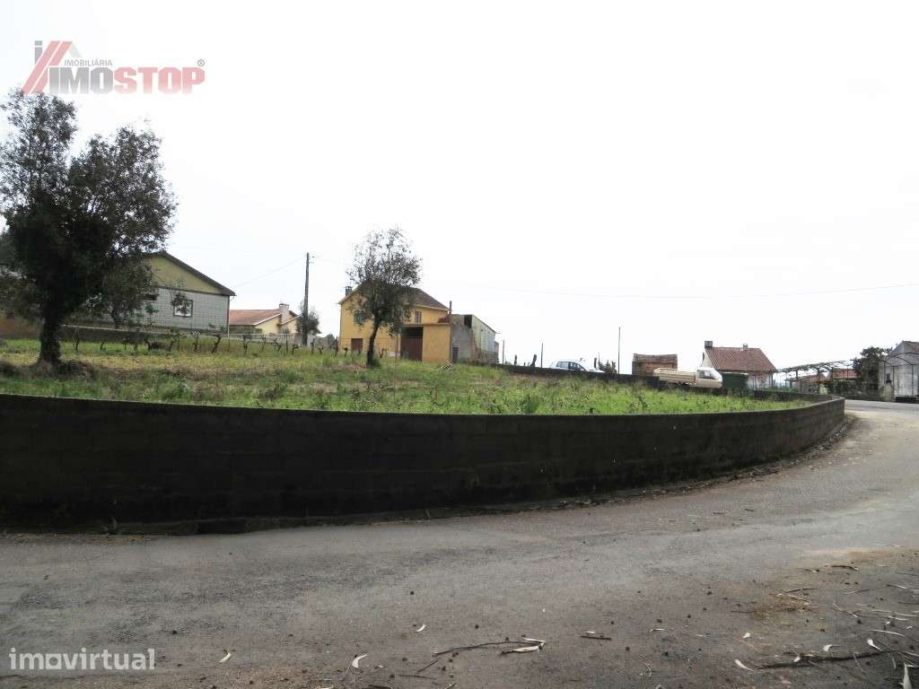 Terreno Urbanizável - Macinhata do Vouga! - Grande imagem: 2/4
