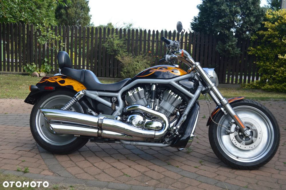 Harley-Davidson V-Rod Street Rod - 1