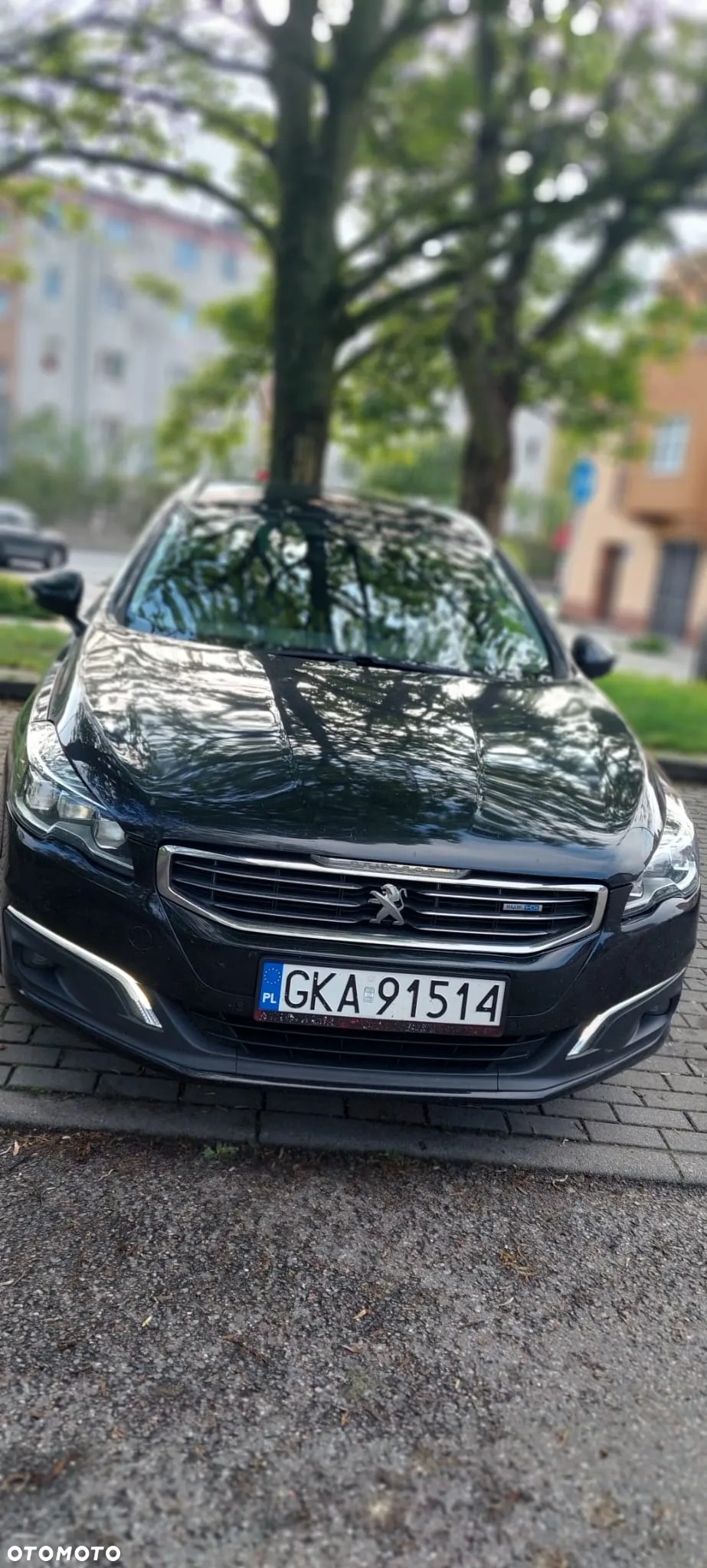 Peugeot 508 2.0 BlueHDi Allure S&S - 3