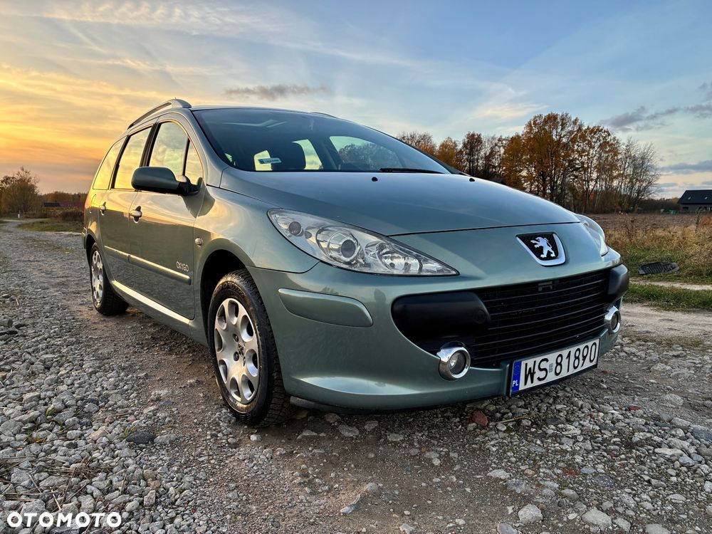 Peugeot 307 1.6 Oxygo - 4
