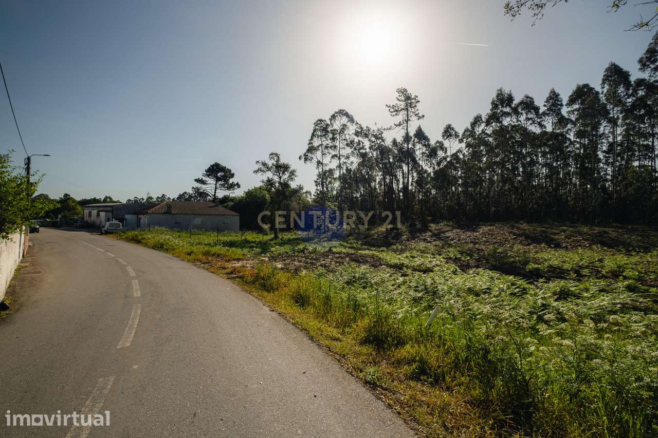 Terreno Rústico em Santa Joana - Aveiro - Grande imagem: 3/27