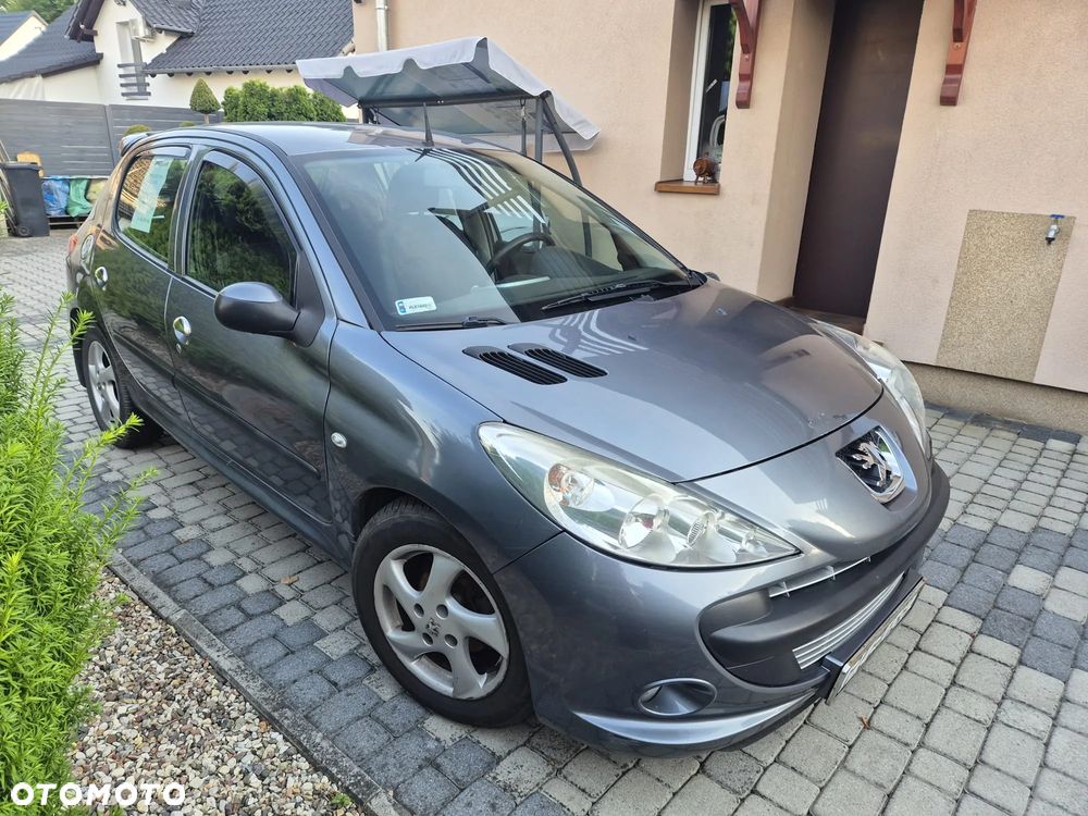 Peugeot 206 plus - 13