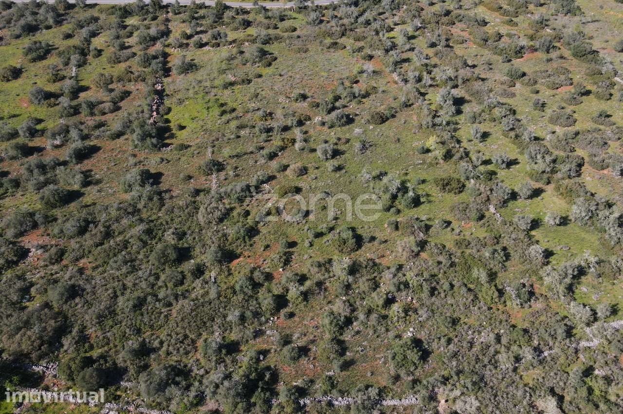 2 Terrenos Rústicos com uma área de 23.960m2, Messines - Grande imagem: 4/20