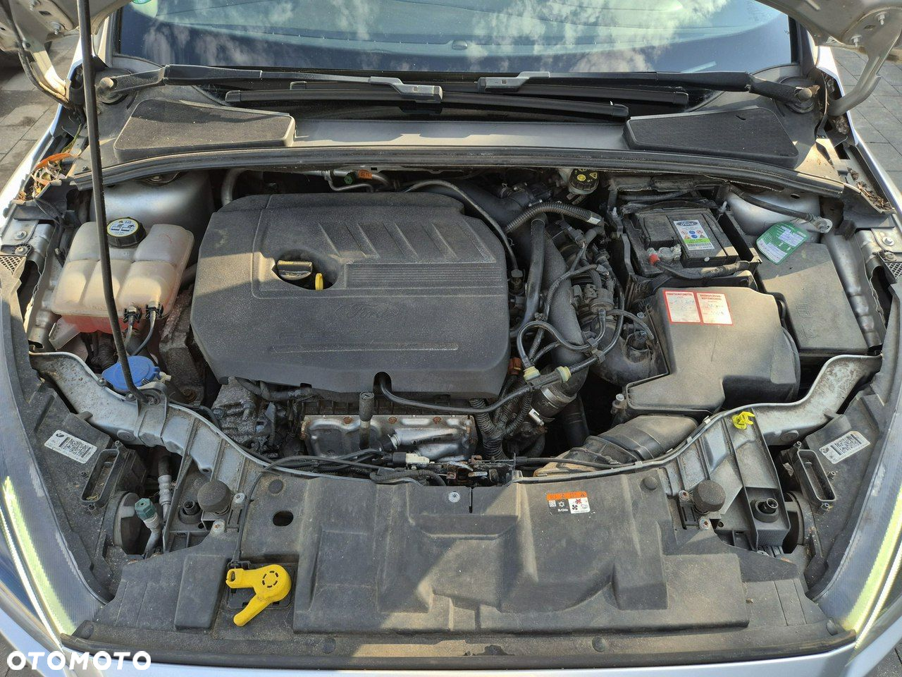 Ford Focus - 10