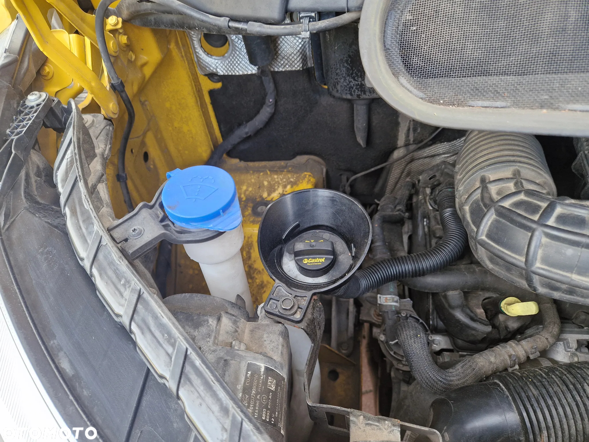 Ford Transit - 20