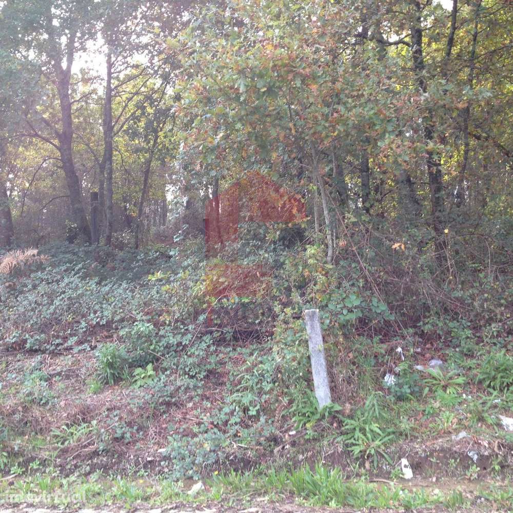 Terreno industrial, Arcozelo - Grande imagem: 4/7