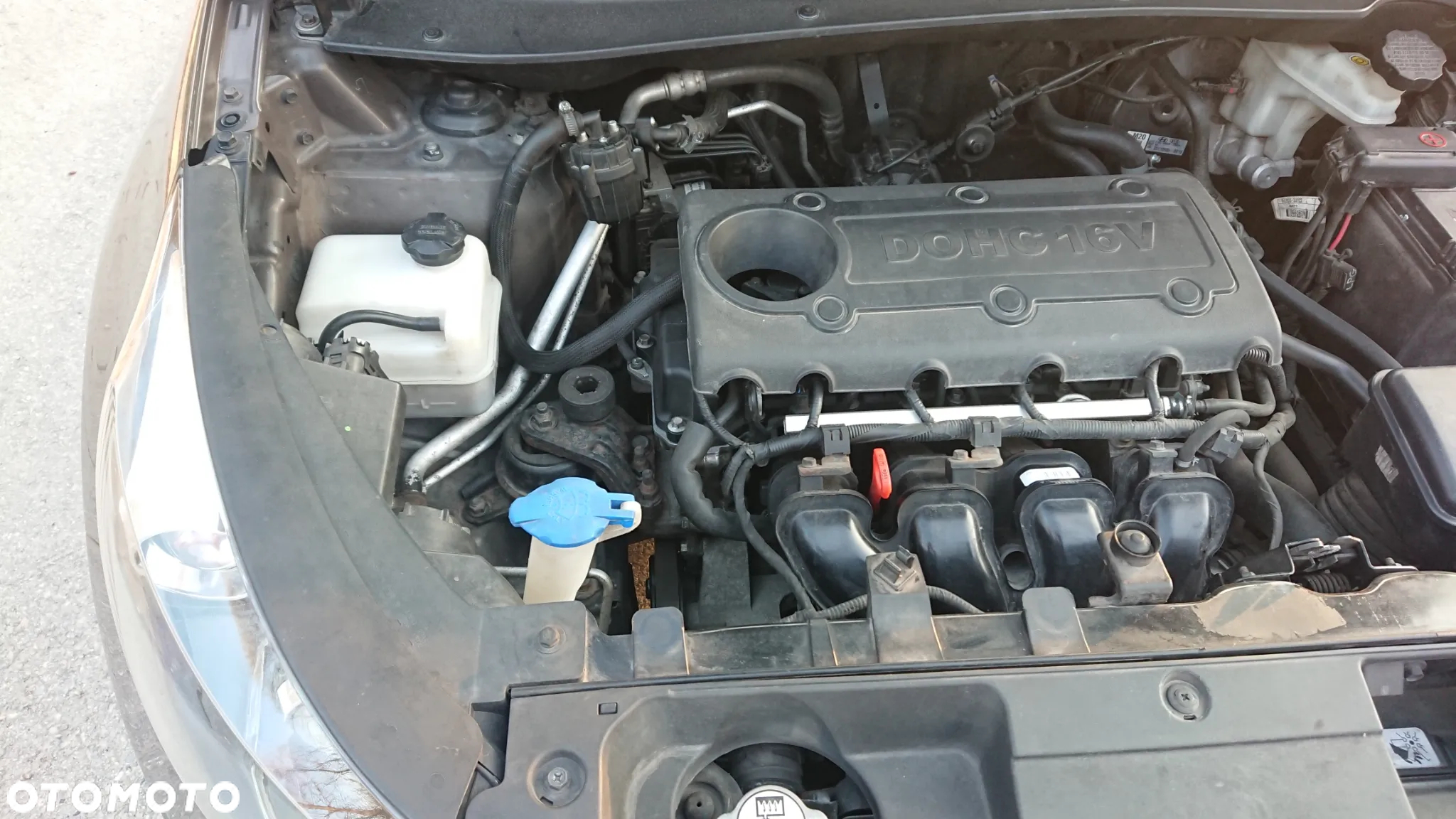 Kia Sportage 2.0 L 2WD - 24