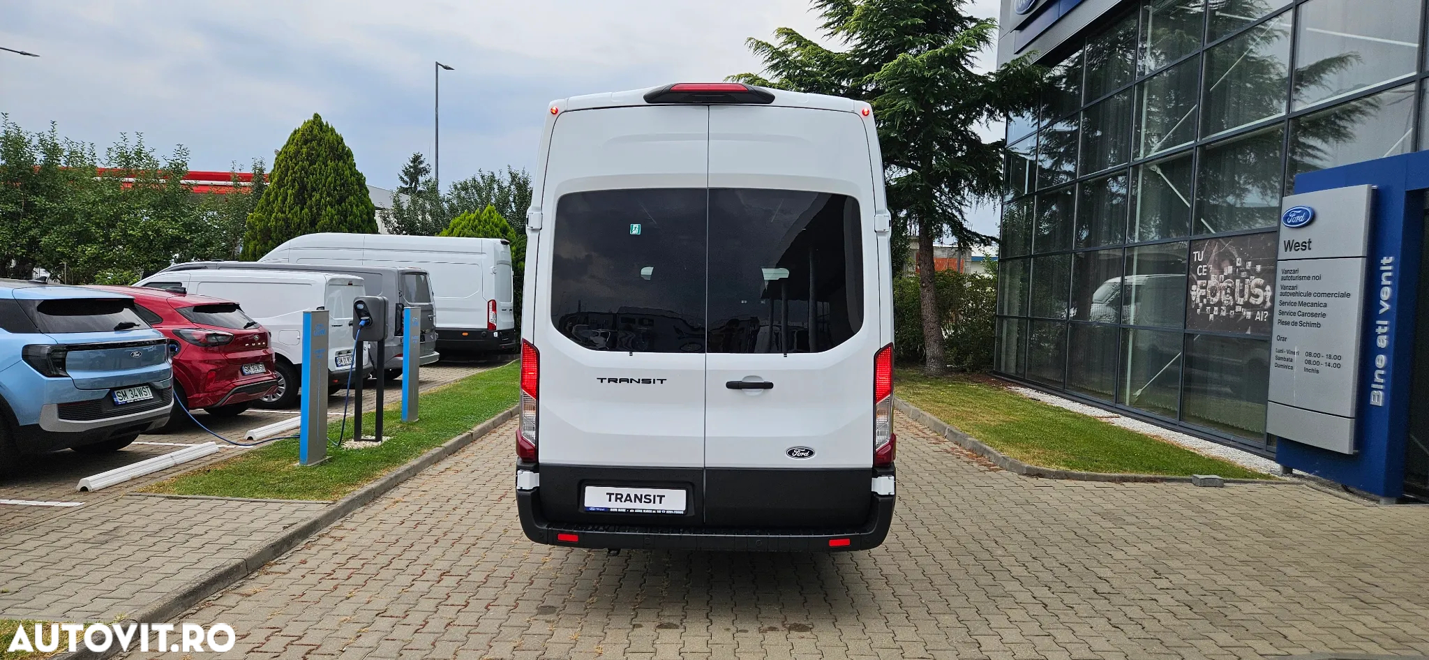 Ford Transit - 6