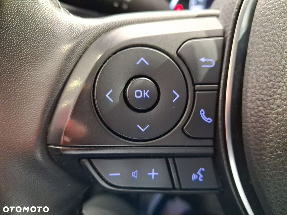 Toyota RAV4 - 20
