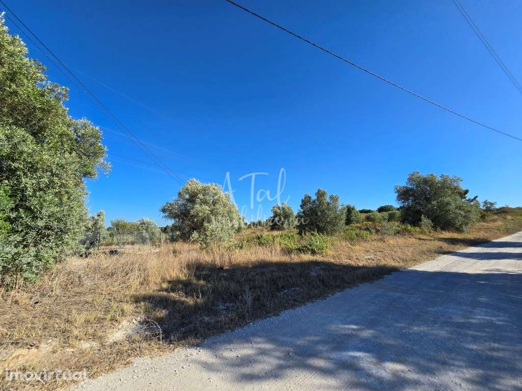 TERRENO RÚSTICO EM PONTEVEL - Grande imagem: 2/6