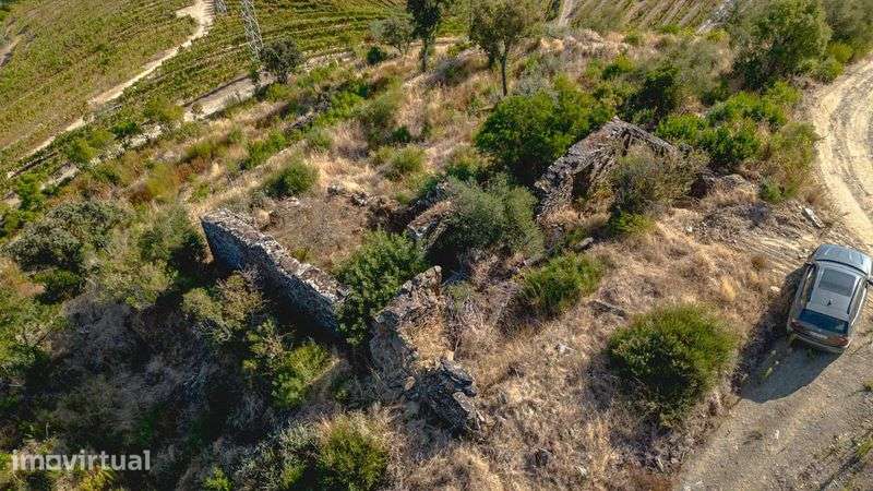 Quinta do Grilo - Alto Douro - Grande imagem: 3/9