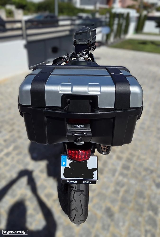 Triumph Tiger Rally Pro - 6