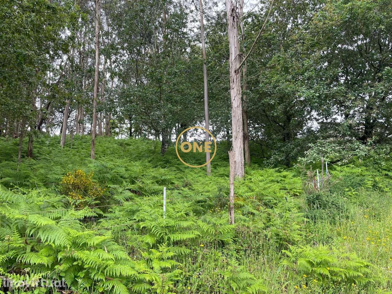 Venda Terreno - Grande imagem: 4/11