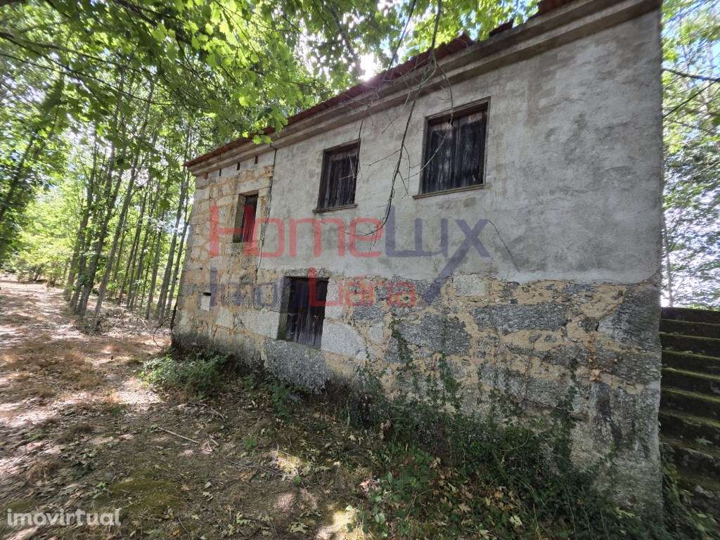 Quinta com casa para venda em Germil, Penalva do Castelo - Grande imagem: 2/60