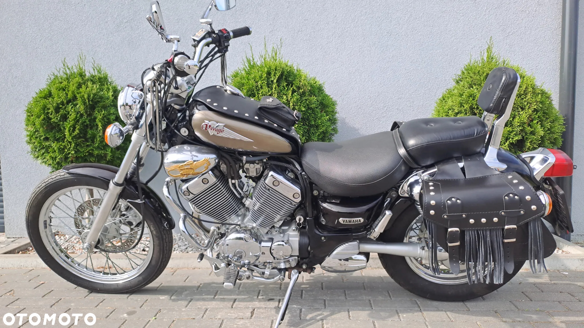 Yamaha Virago - 4