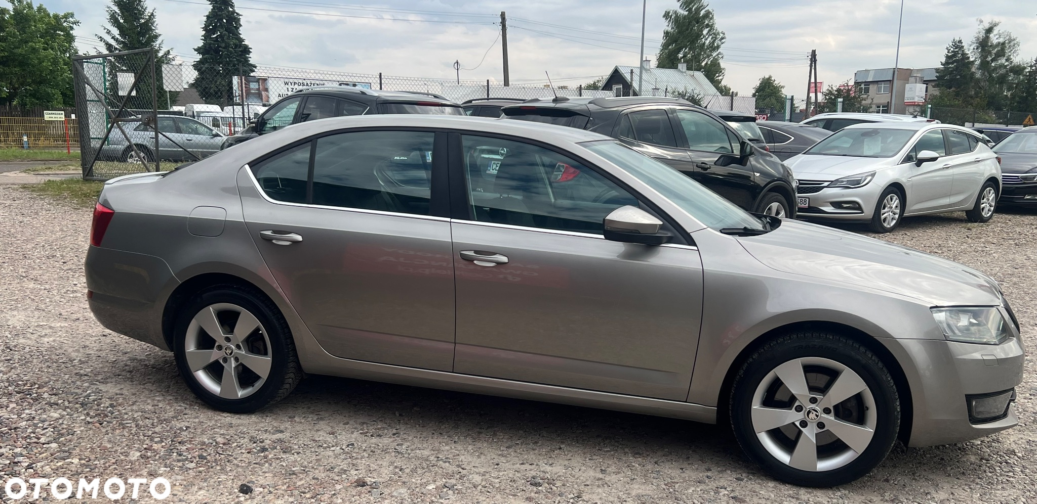 Skoda Octavia - 3