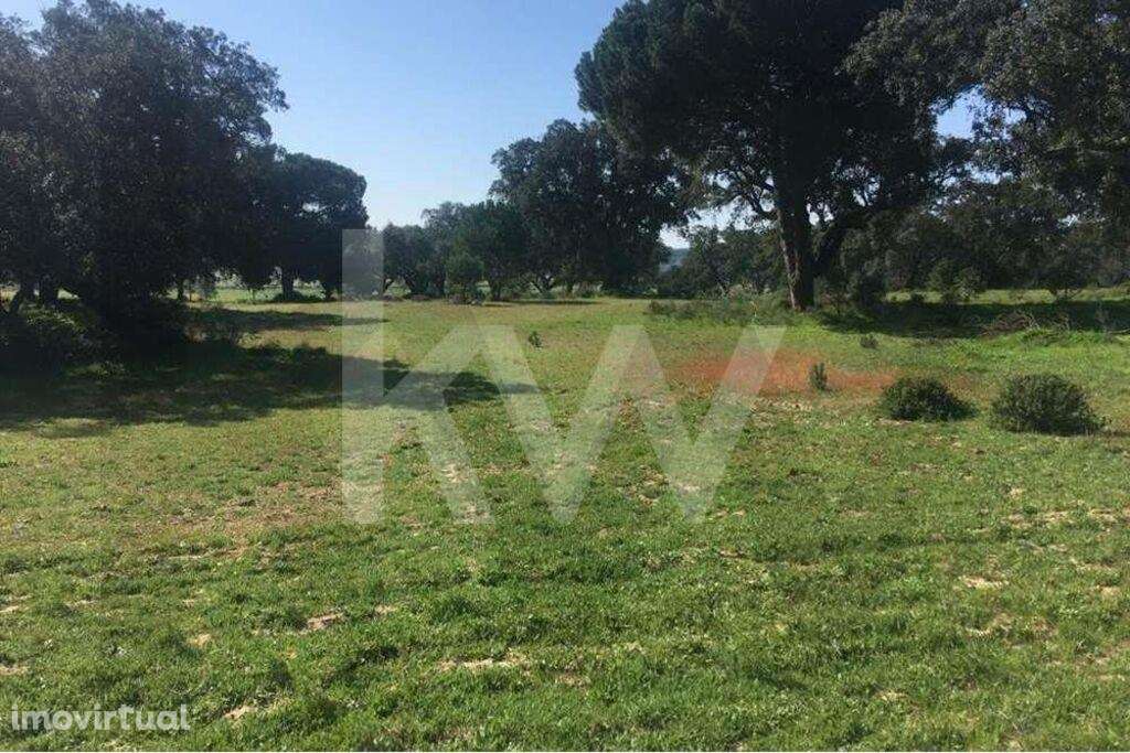 Herdade Exclusiva de 29 Hectares na Marateca, próxima de Águas de Mour - Grande imagem: 3/19