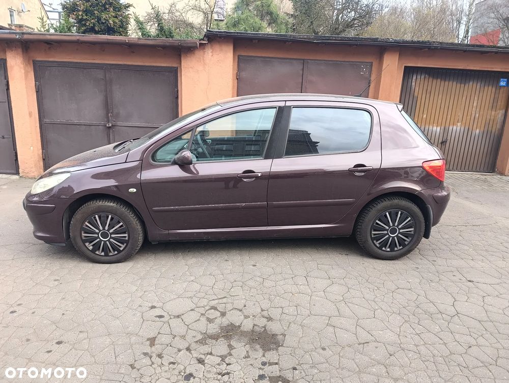 Peugeot 307 1.4 Oxygene - 3