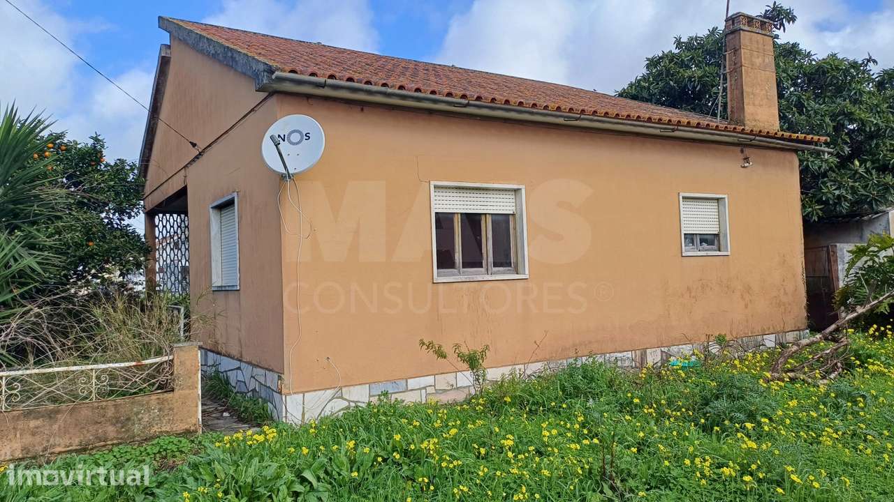 Moradia T3 em Sapataria, com terreno urbano de 4000m2 - Grande imagem: 5/11