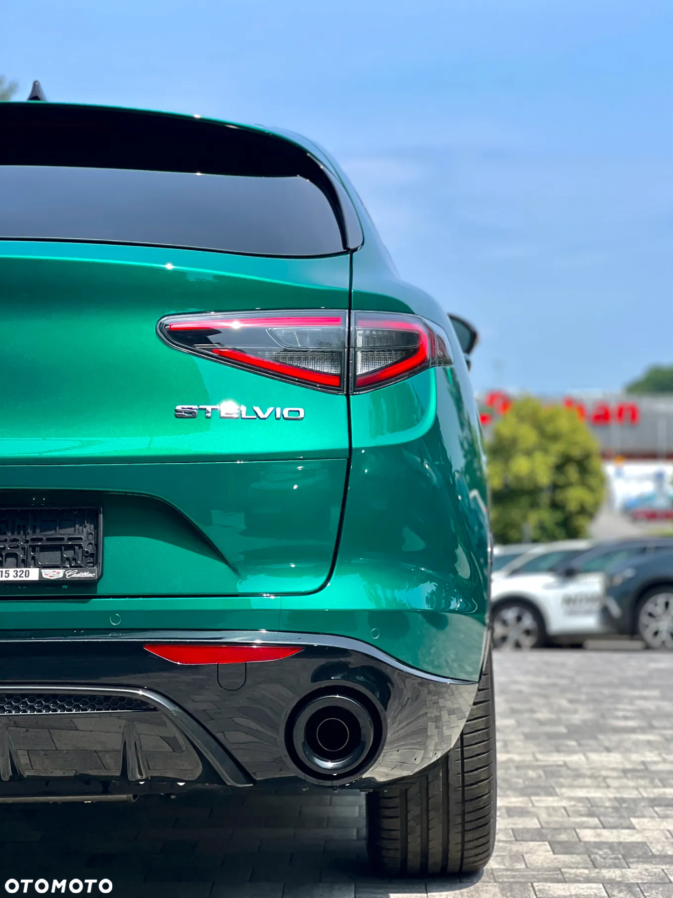 Alfa Romeo Stelvio 2.0 Turbo Intensa Q4 - 5