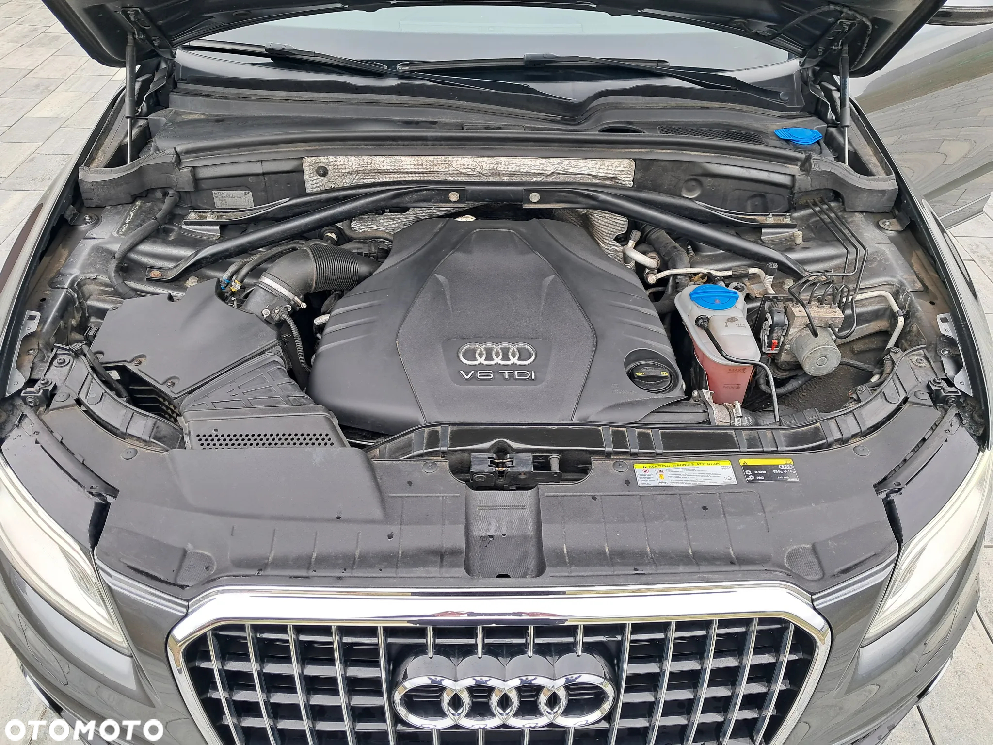Audi Q5 - 21
