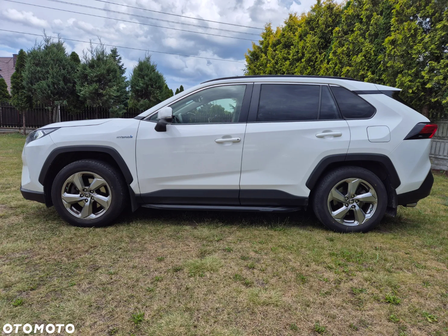 Toyota RAV4 2.5 4x4 Hybrid Comfort - 2