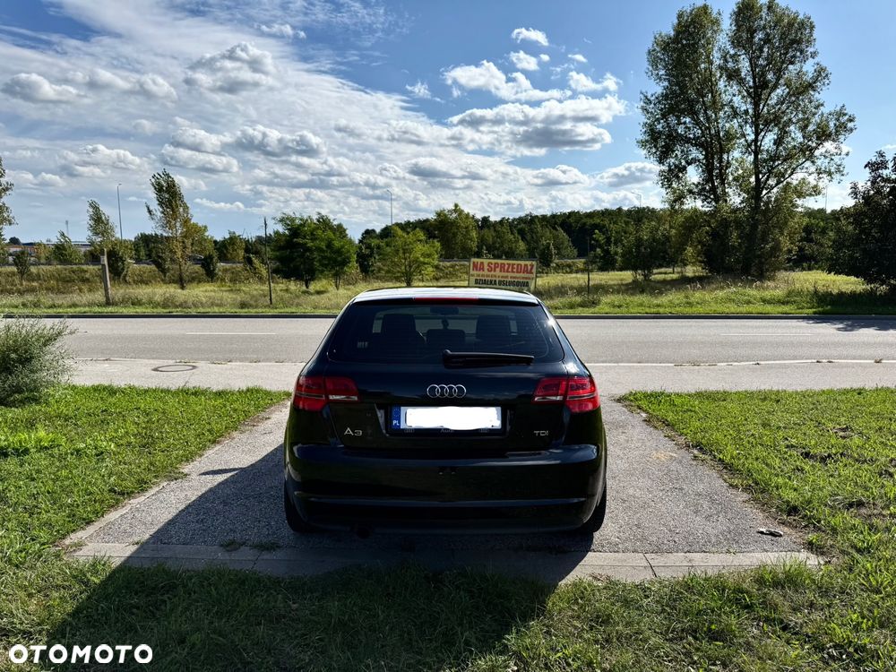 Audi A3 1.6 TDI DPF Ambition - 13