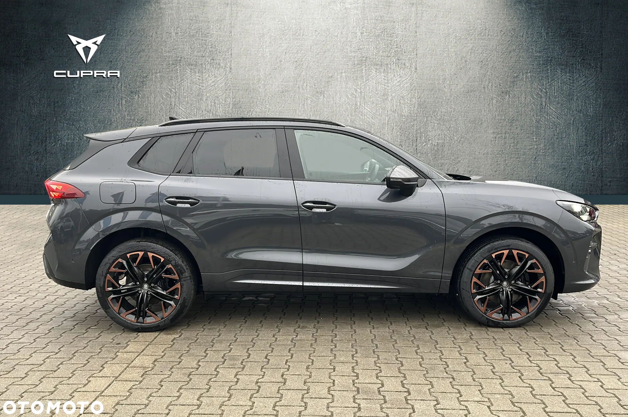 Cupra Terramar 1.5 eHybrid PHEV DSG - 6