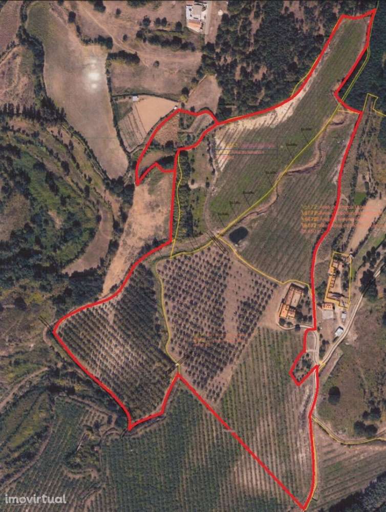 Fabulosa Quinta - Grande imagem: 3/3