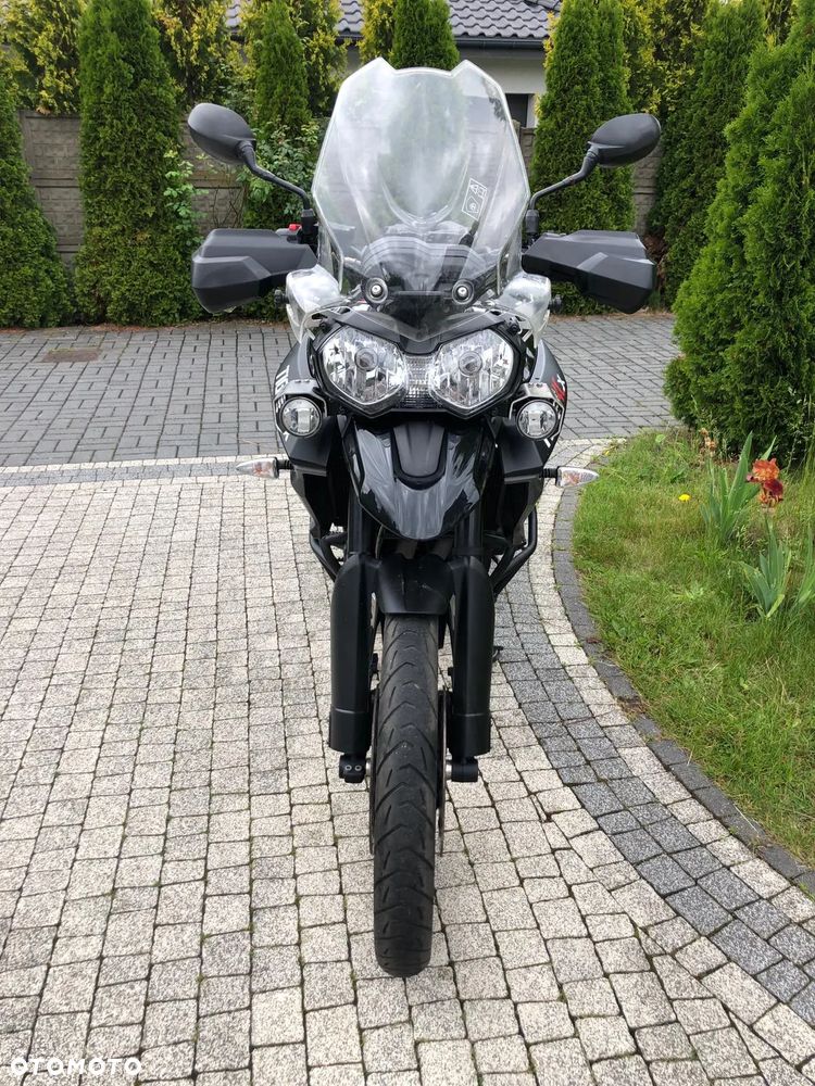 Triumph Tiger - 9