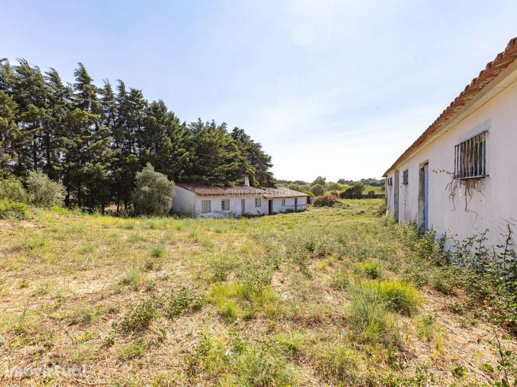 Quintinha, com construção de armazem/antigo Lagar de Azeite - Grande imagem: 2/7